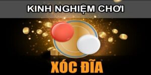 Bật Mí Mẹo Chơi Xóc Đĩa Cực Chuẩn Của Cao Thủ Cho Tân Binh